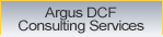Argus DCF Consulting Services